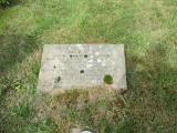 image of grave number 736509